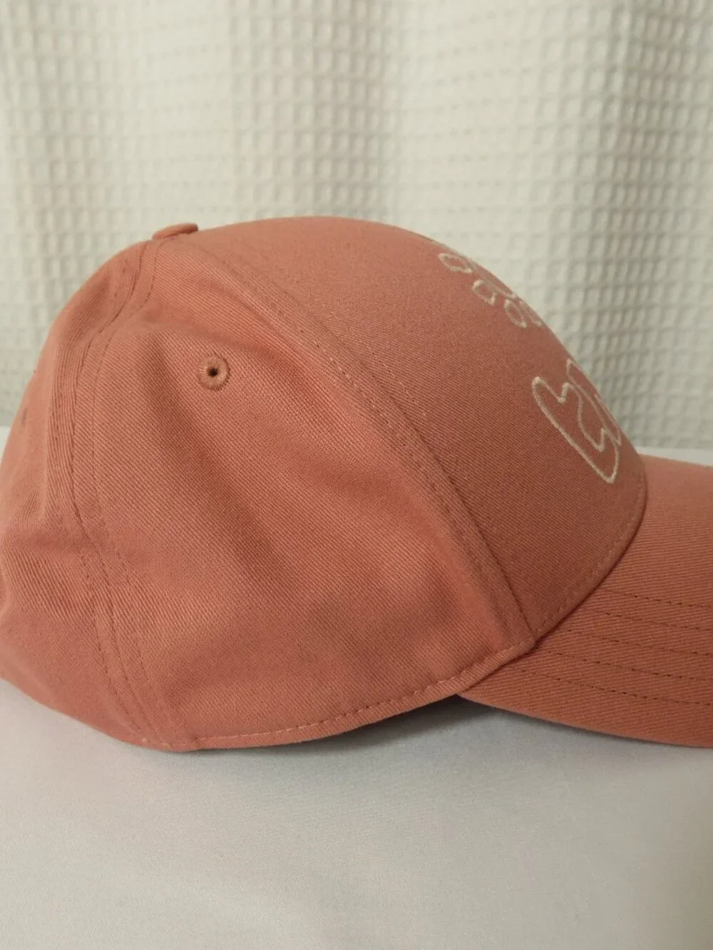 Aritzia Tna Pink Baseball Cap